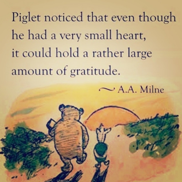 💖 Salt & Pepper Smokey Bear, TROUT Vintage - Picture 6 of 16